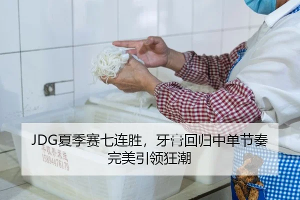 JDG夏季赛七连胜，牙膏回归中单节奏完美引领狂潮